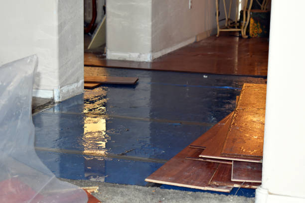 Professional Burst Pipe Cleanup technician working in Webster, MA